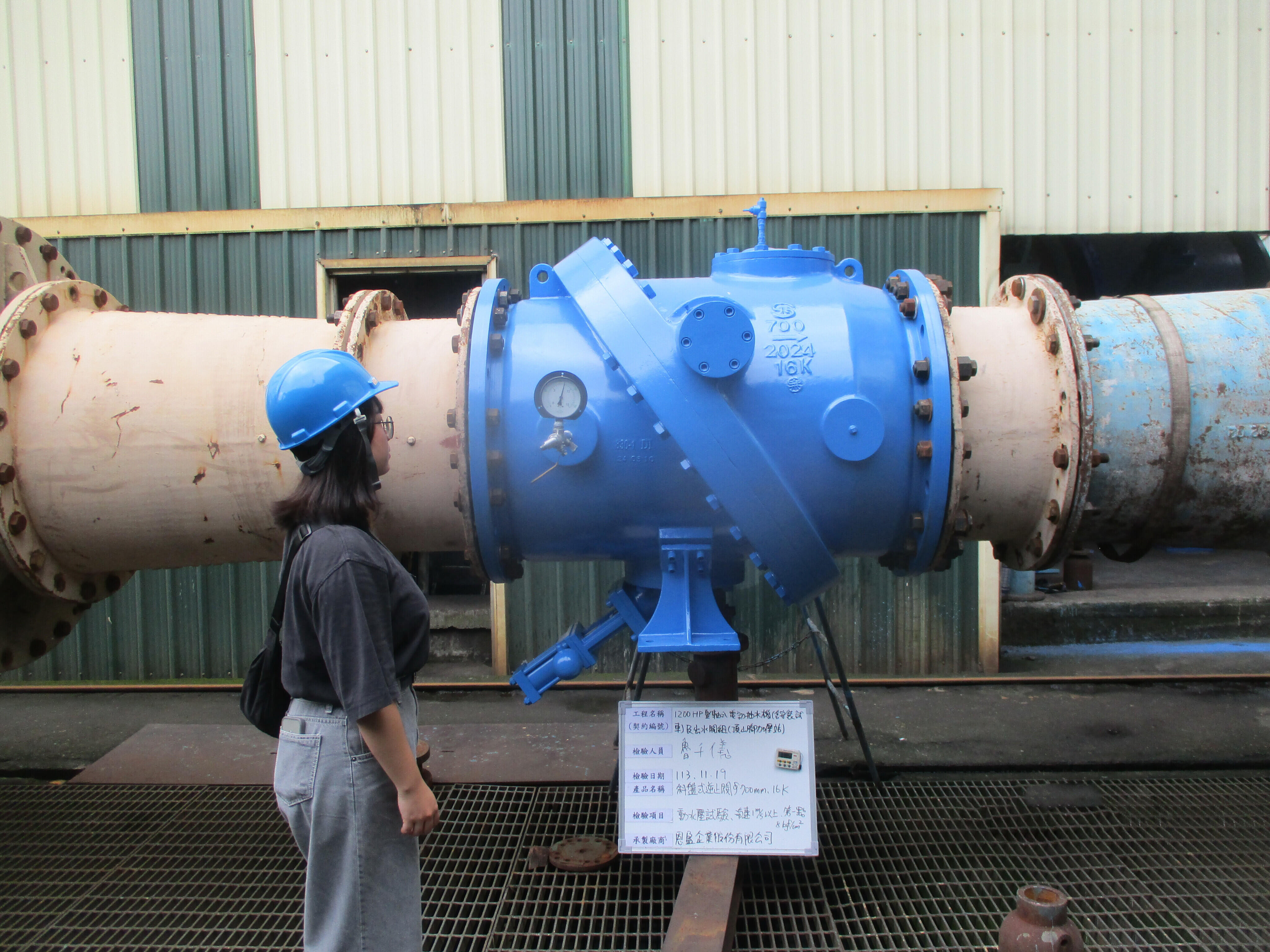 [Booster Station] 1200 HP Vertical Shaft Electric Pump (Including Installation and Test Run) and Discharge Valve Assembly – DingShanJiao Booster Station